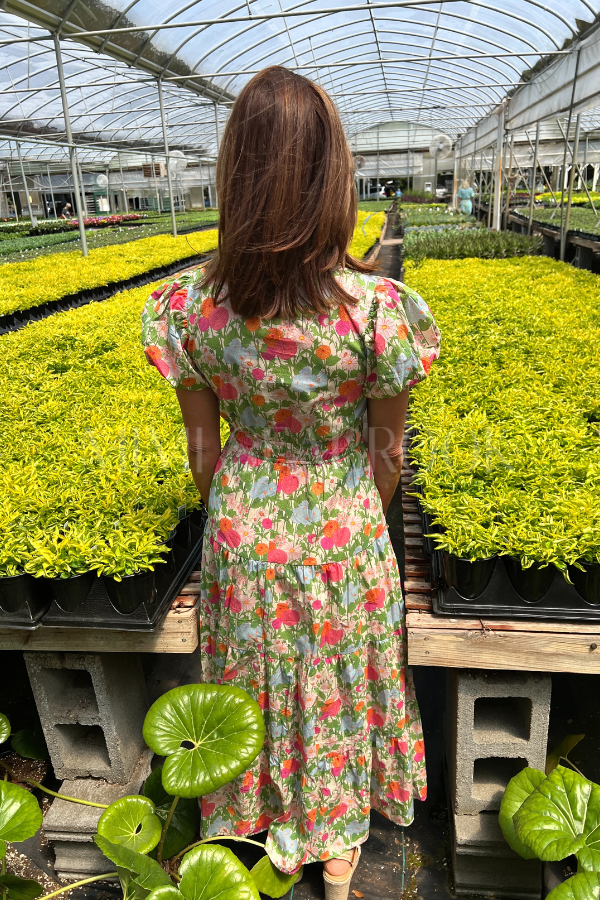Airlie dress
