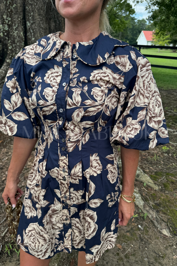 Altamont dress, blue