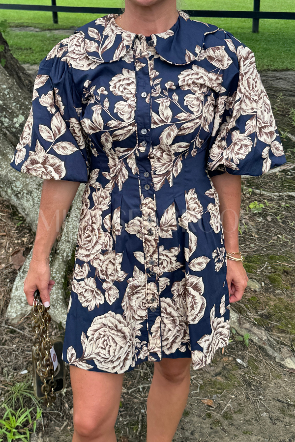 Altamont dress, blue