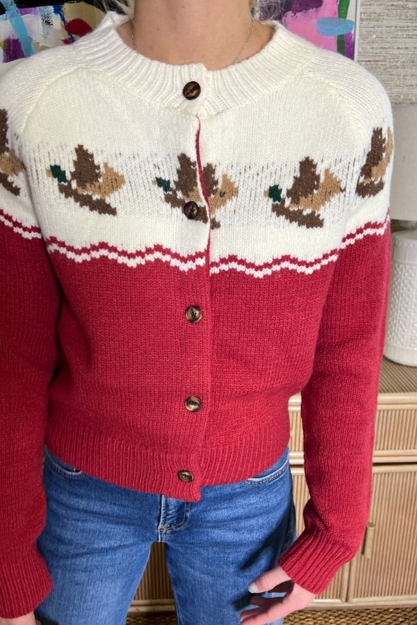 Duck Cardigan sweater