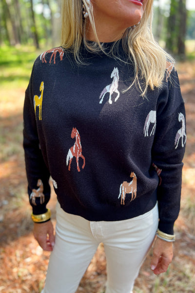 Brianna sweater, black