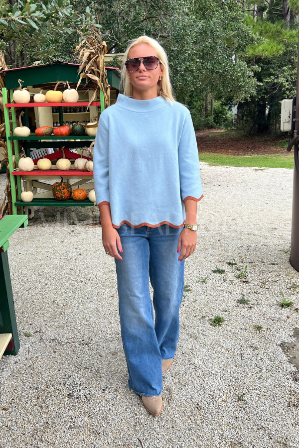 Averi sweater, powder blue/chestnut