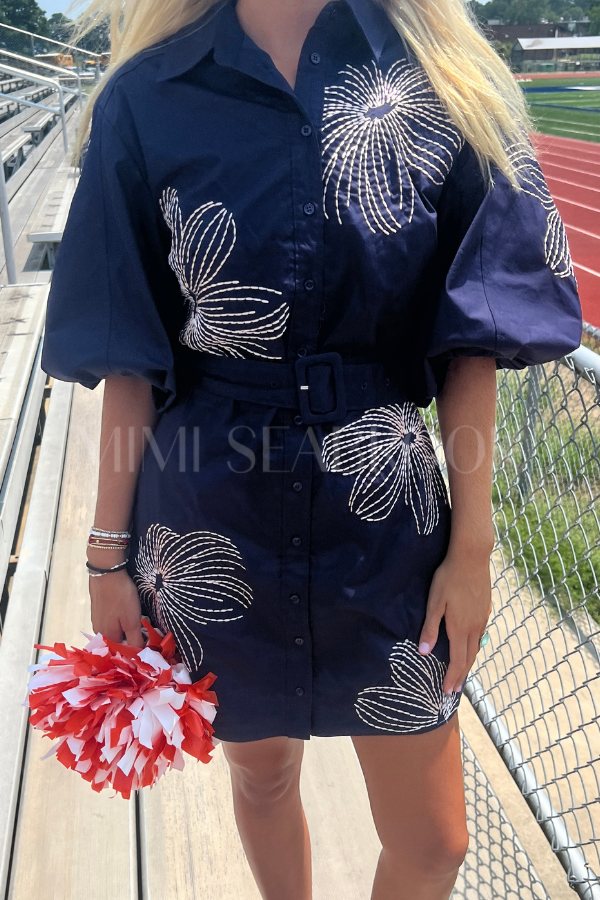 Belden dress, navy
