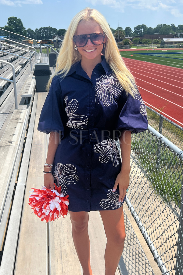 Belden dress, navy