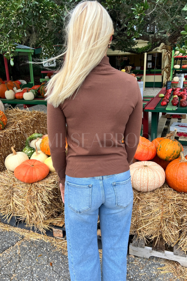 Chesley sweater, brown