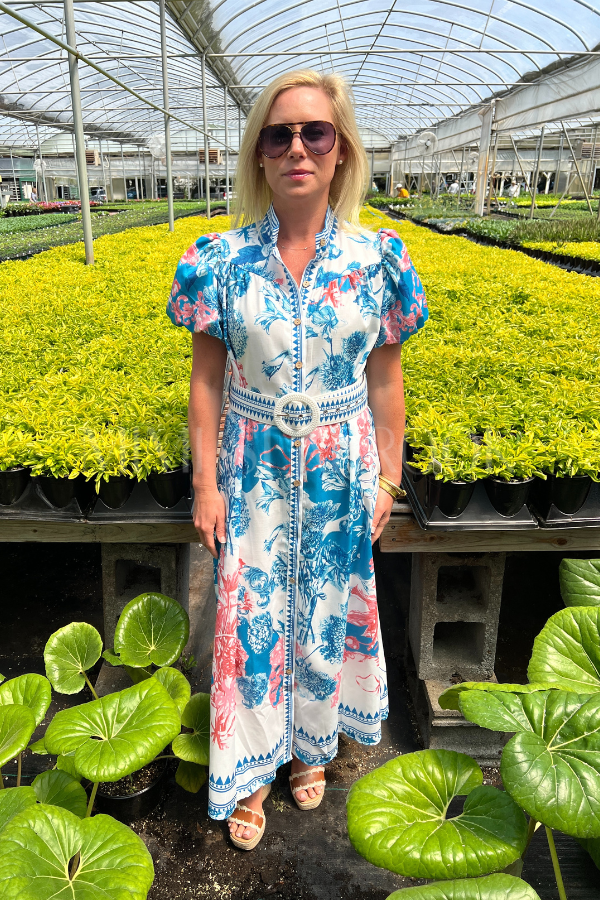 Colbie Dress with Belt