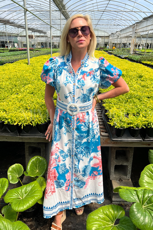 Colbie Dress with Belt