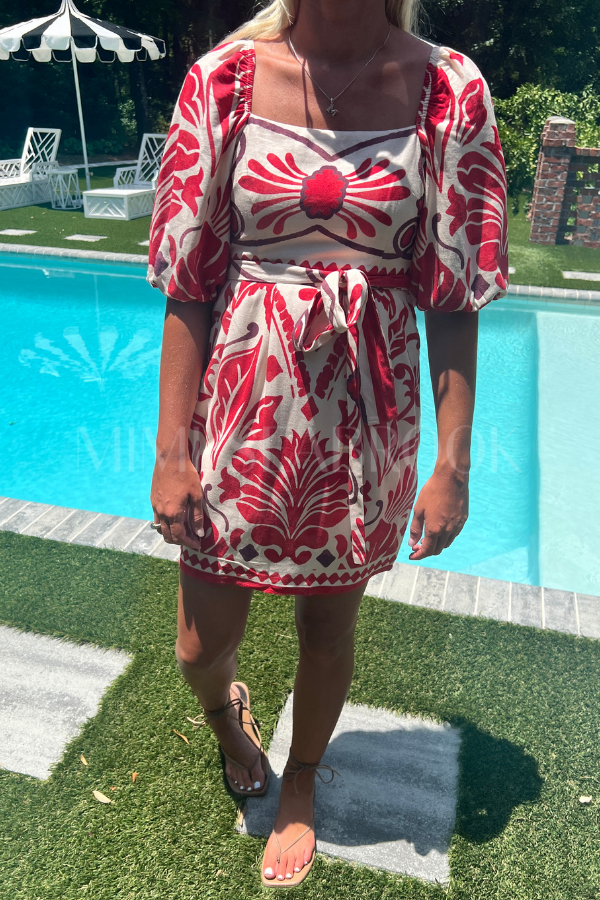 Ellison Paige dress
