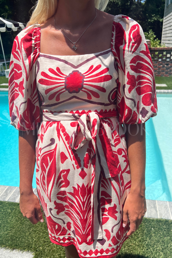 Ellison Paige dress