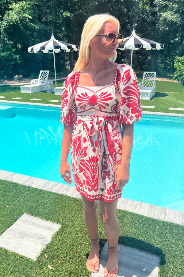 Ellison Paige dress