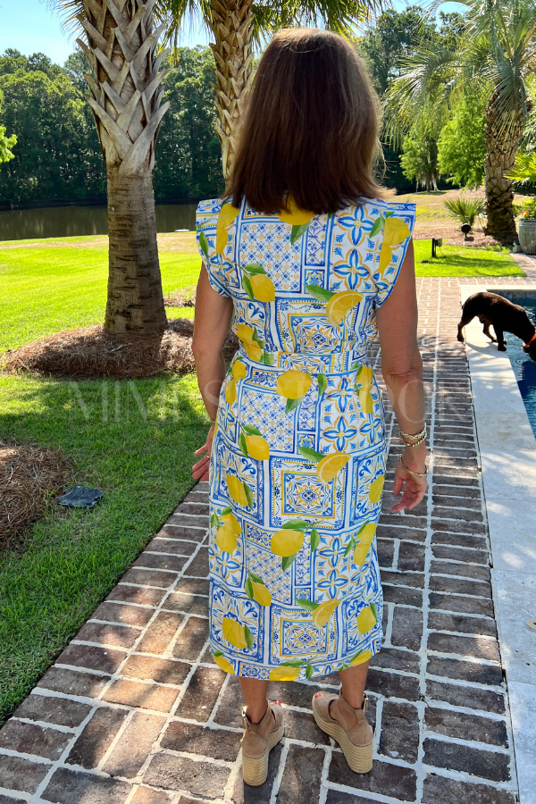 Hanway Dress