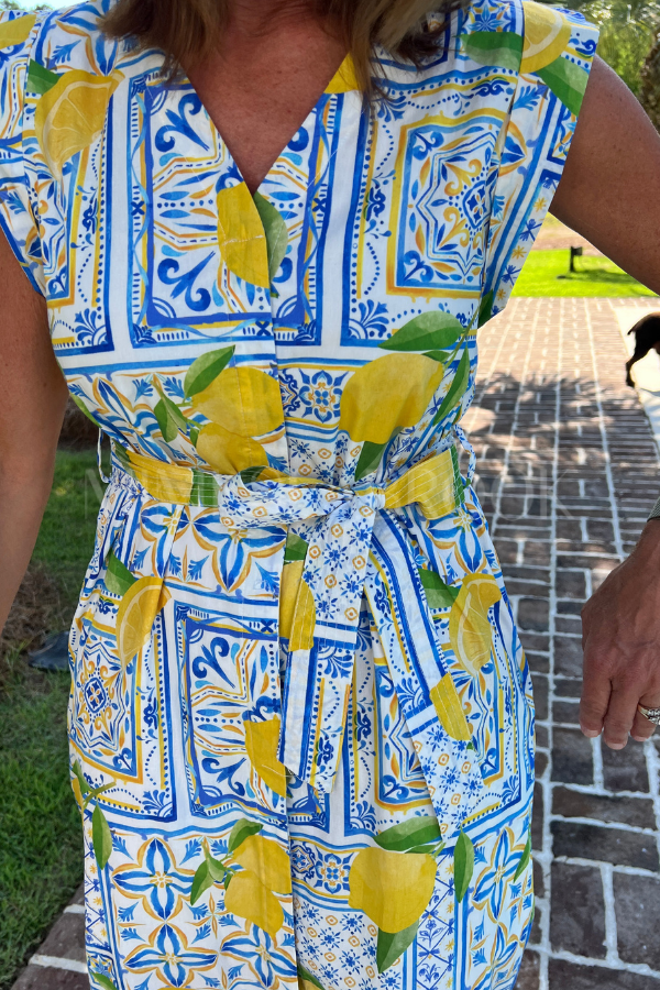 Hanway Dress