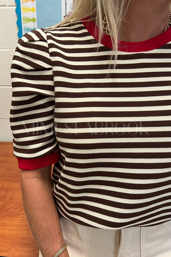 Haynes top, brown