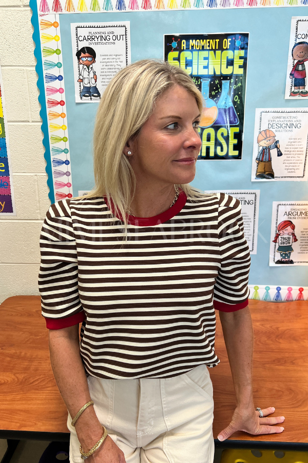 Haynes top, brown