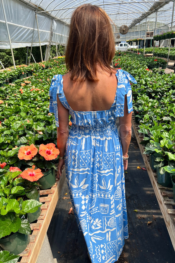 Lakewood dress
