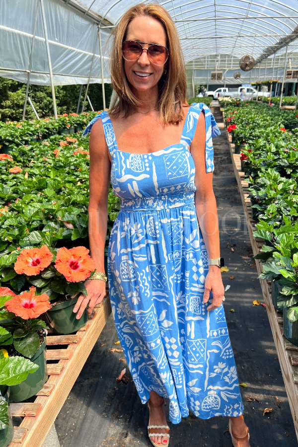 Lakewood dress
