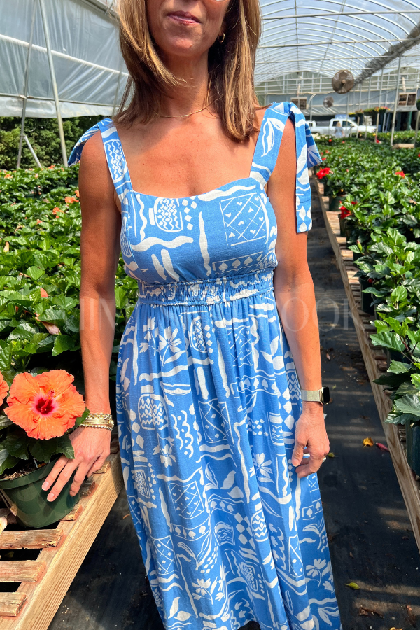 Lakewood dress