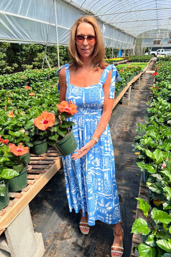 Lakewood dress