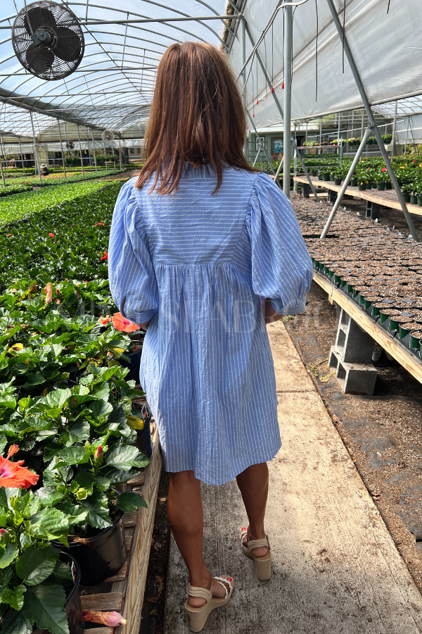 Lyrebird dress