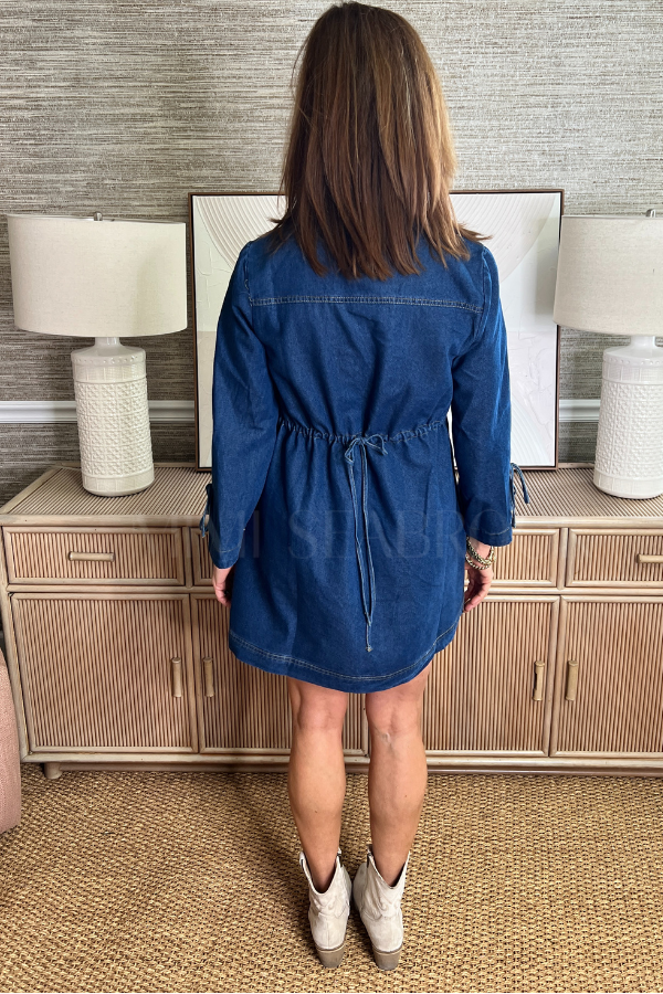 Pamela dress, denim