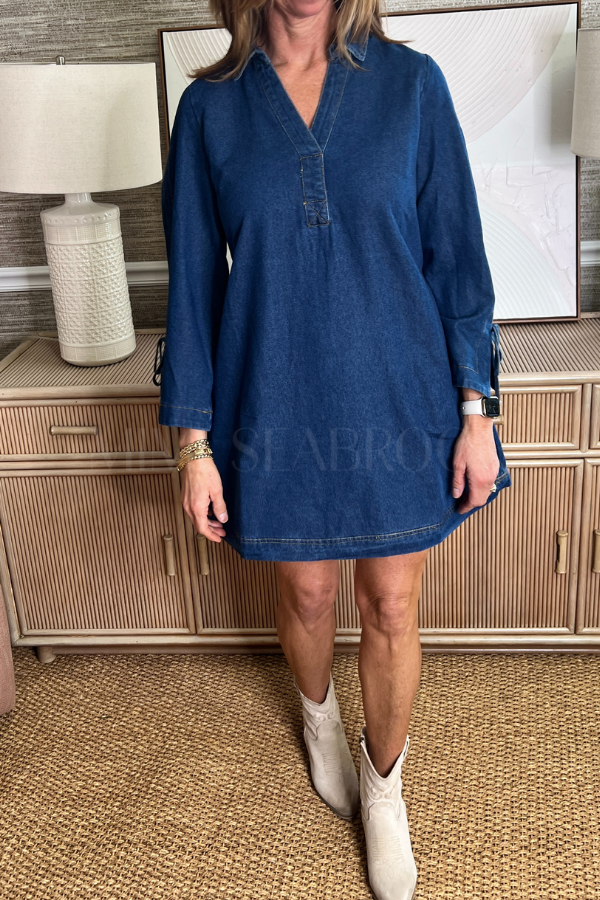 Pamela dress, denim