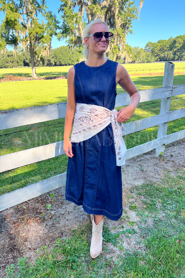 Porter denim dress