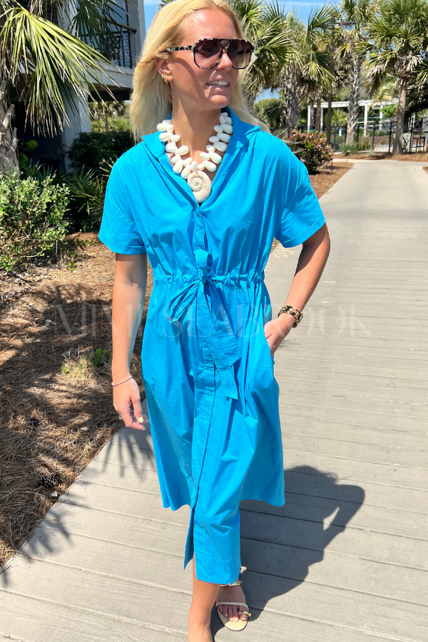 Seymour dress by Holly Shae, blue print