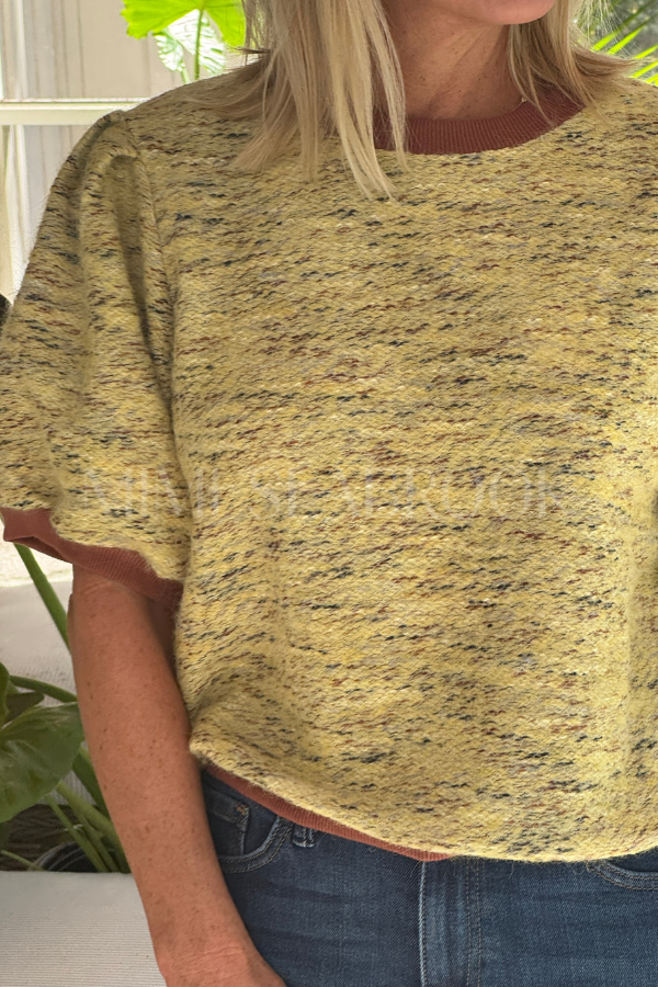 Stanhope top, yellow