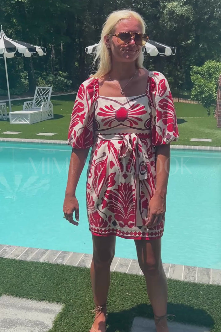 Ellison Paige dress
