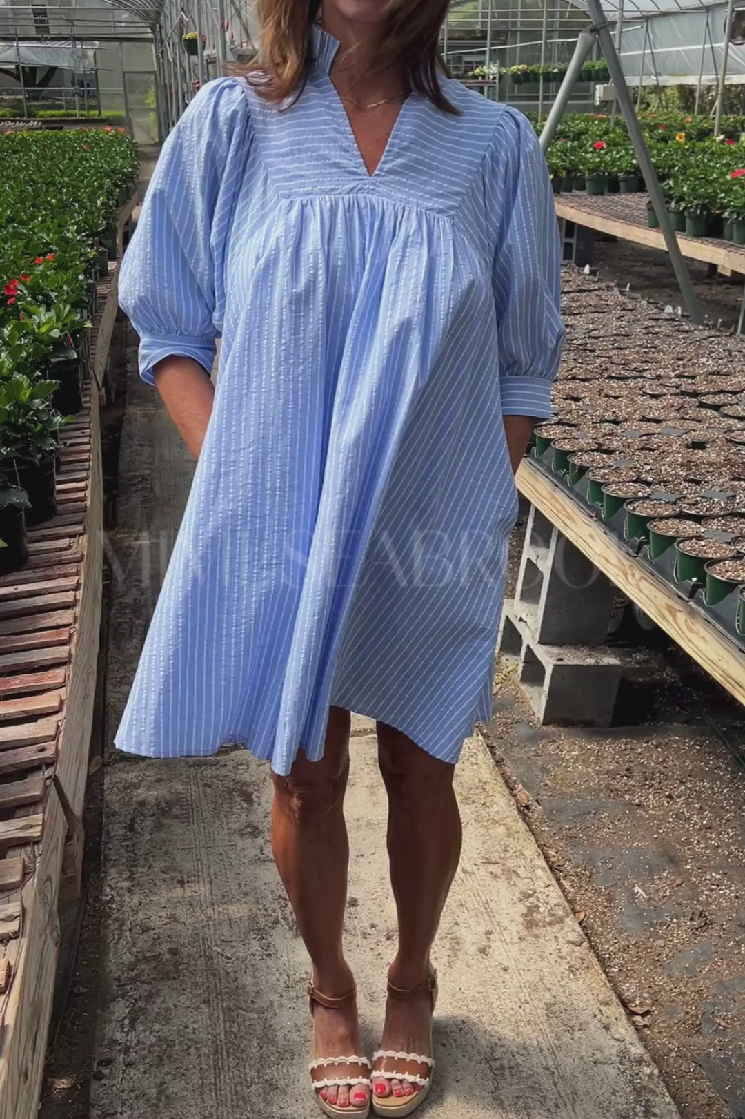 Lyrebird dress